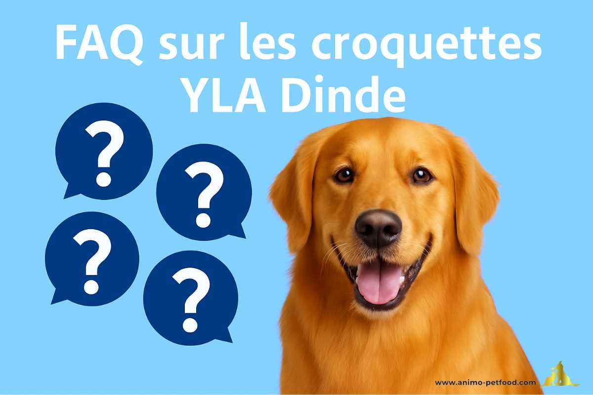 FAQ sur les croquettes YLA Dinde pour chien adulte