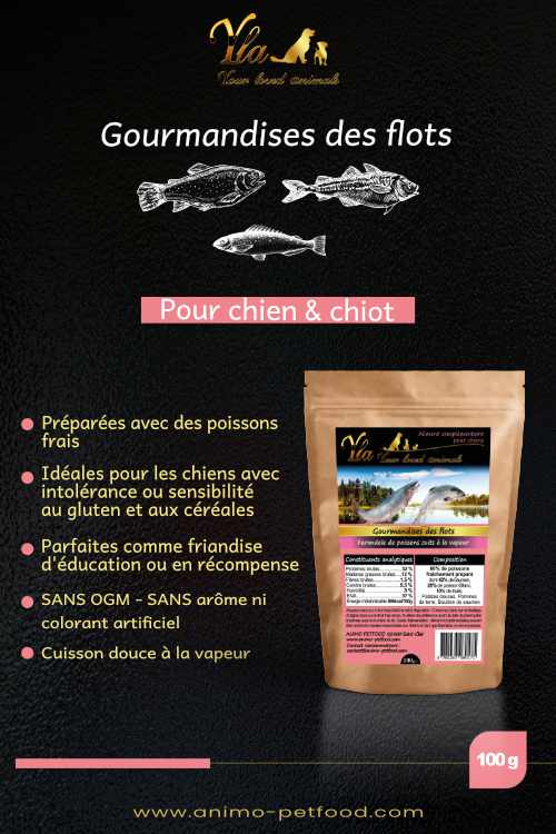 chien-chiot-friandises-sans-gluten