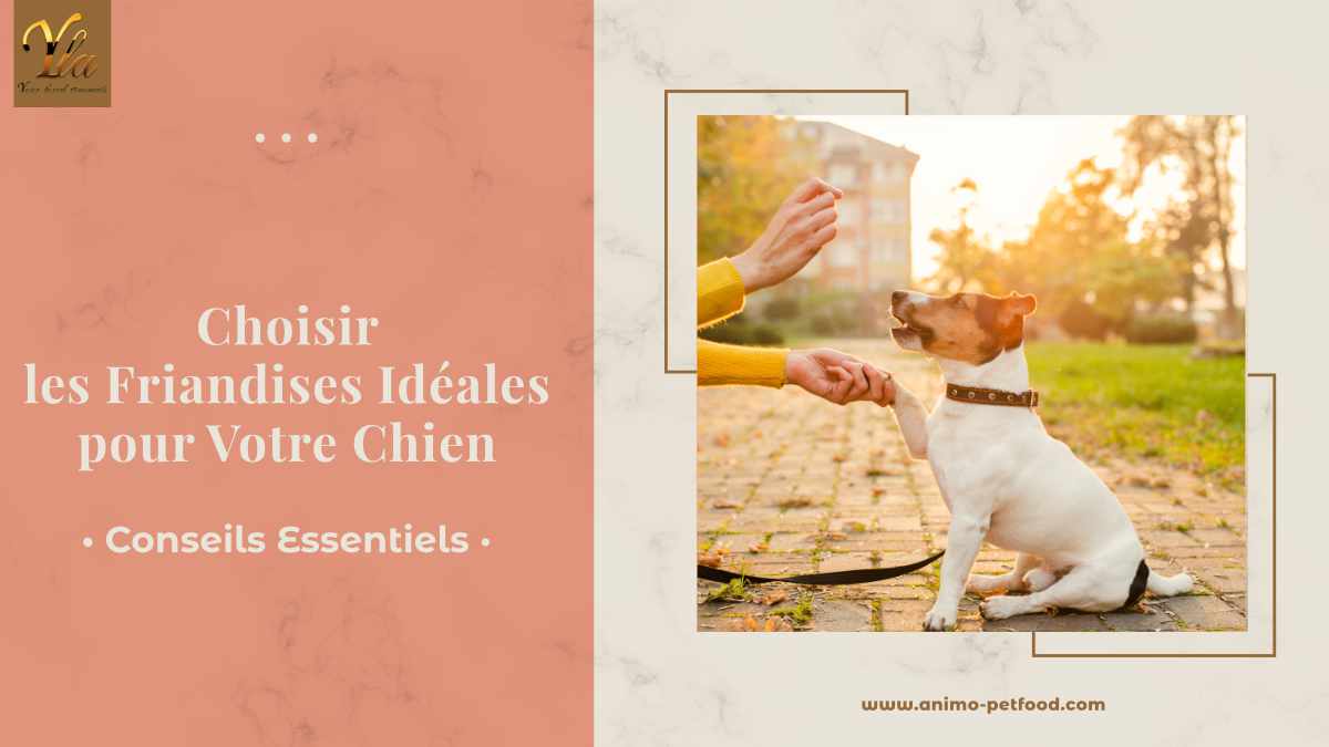 choisir-les-friandises-ideales-pour-votre-chien