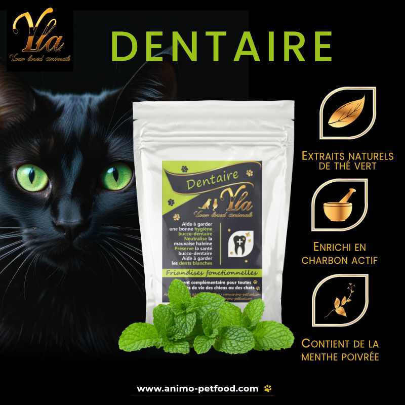 Friandises dentaires pour chats - Charbon actif, extraits de thé vert, menthe poivrée et hexamétaphosphate de sodium pour une bonne santé bucco-dentaire, réduction de la plaque, du tartre et de la mauvaise haleine