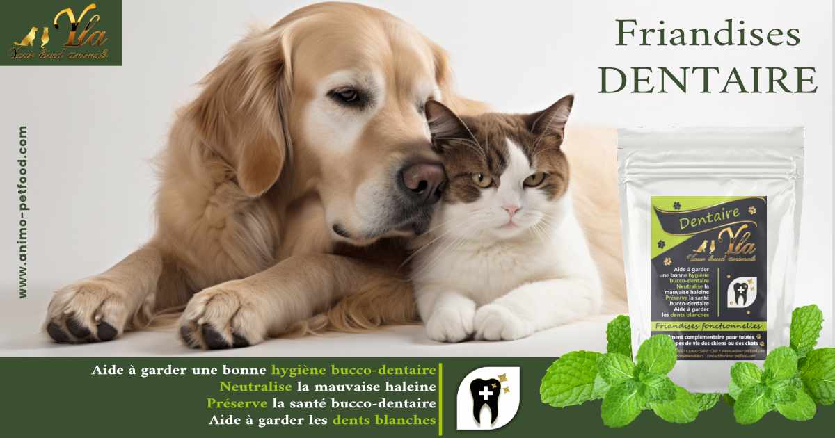 dentaire friandises pour chien et chat