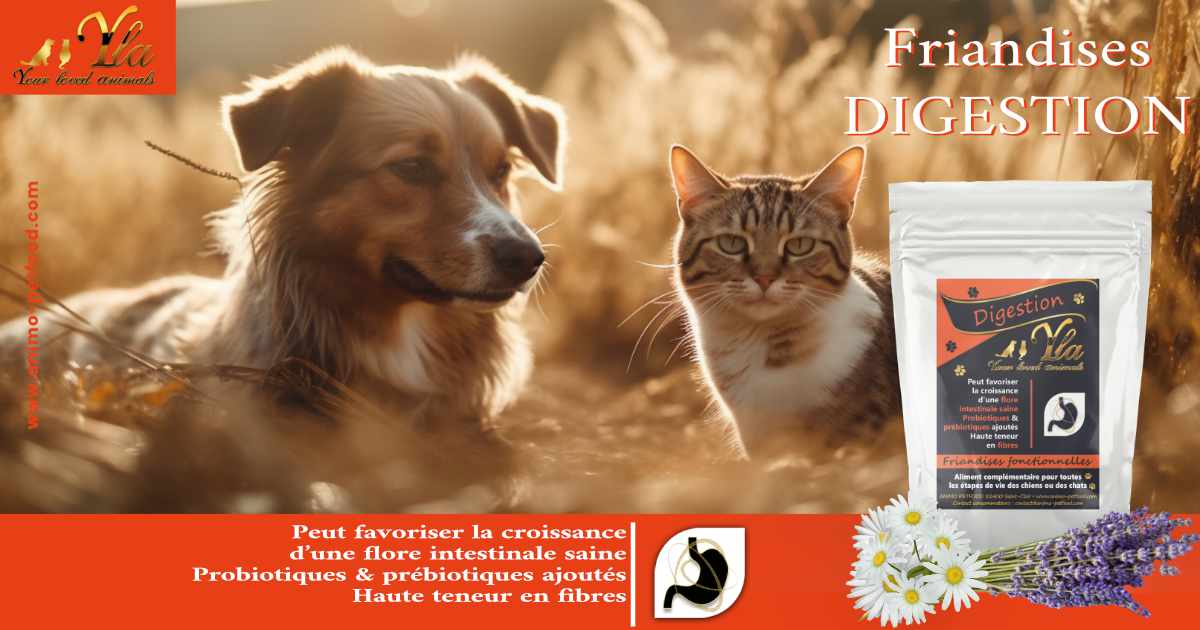 friandises-digestives-pour-chiens-et-chats-un-soutien-gastro-intestinal