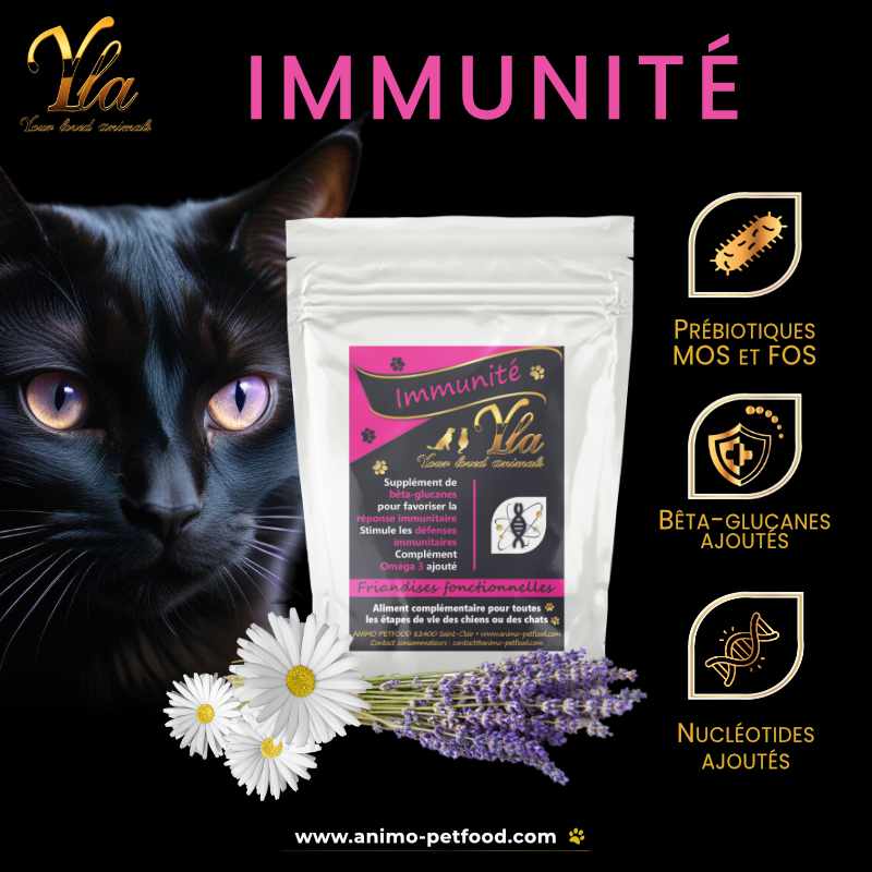  Friandises immunitaires pour chats - Renforcement du système immunitaire avec vitamines, antioxydants, bêta-glucanes, oméga-3, MOS, FOS, et nucléotides pour une meilleure santé et vitalité