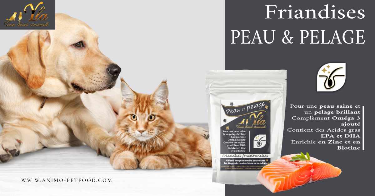 peau et pelage friandises hypoallergéniques pour chien et chat