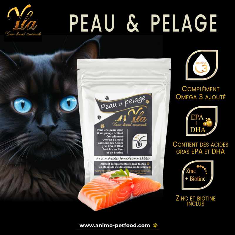 Friandises pour la peau et le pelage des chats - Acides gras oméga-3 et oméga-6, zinc, biotine, vitamines et minéraux pour une peau saine, un pelage brillant et une santé optimale.