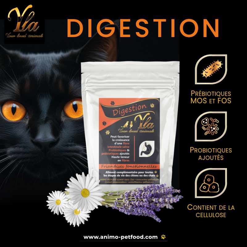 Favorisez la Digestion de Votre Chat avec des Friandises Digestives