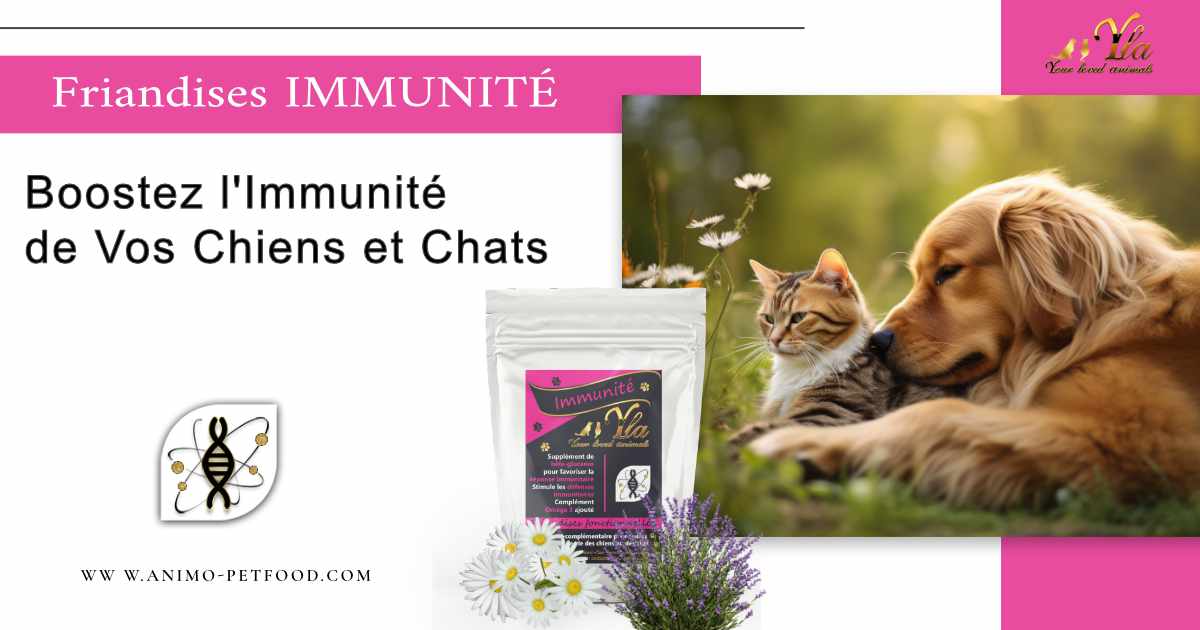 friandises-pour-chien-et-chat-soutien-immunitaire