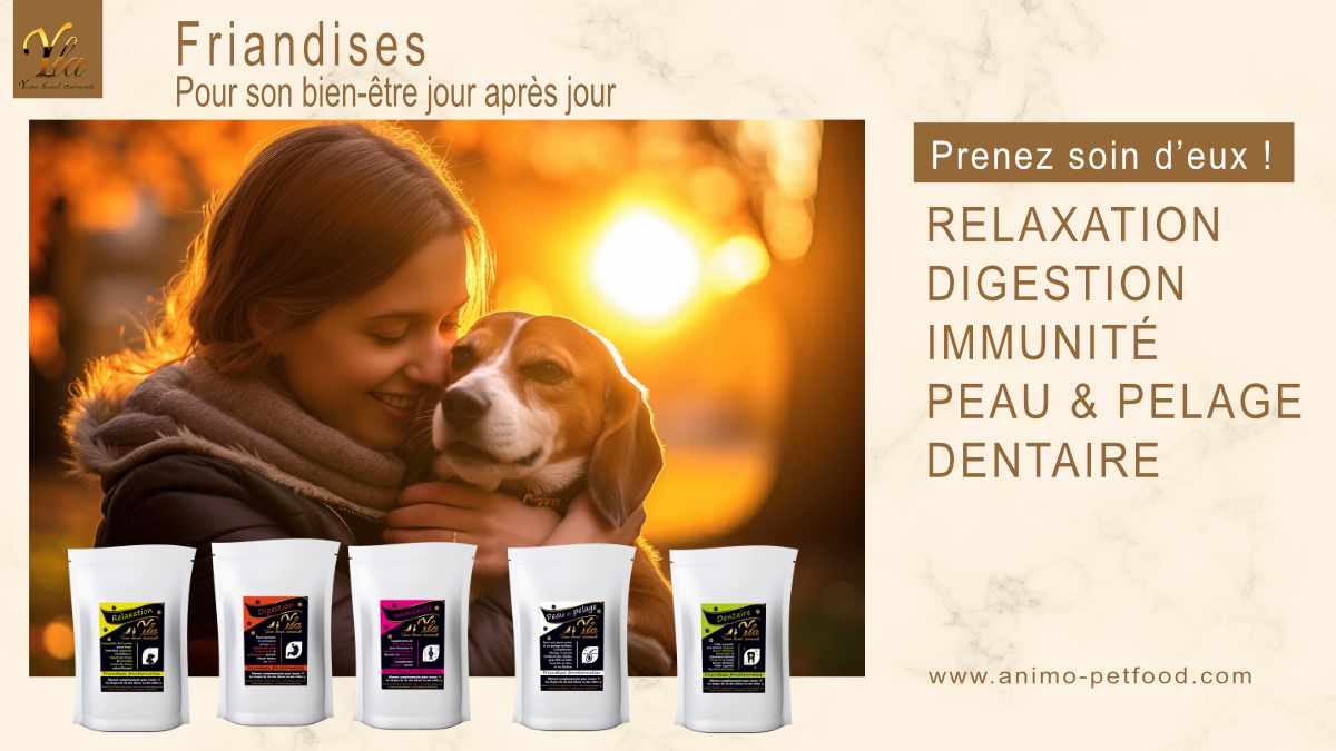 friandises-pour-la-sante-et-le-bien-etre-du-chien