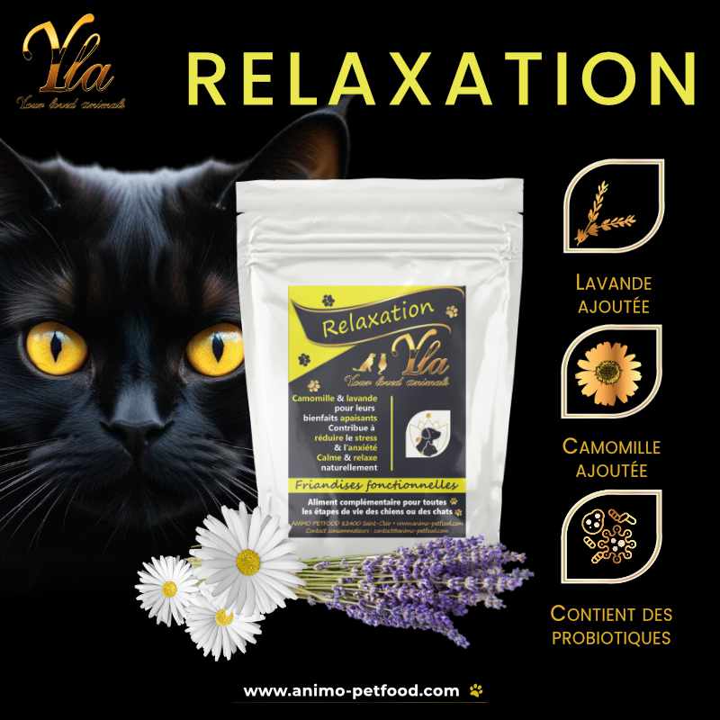 Friandises relaxantes pour chats - Lavande, camomille, probiotiques, nucléotides, vitamines et minéraux pour favoriser la relaxation, réduire le stress et l'anxiété chez les chats. 