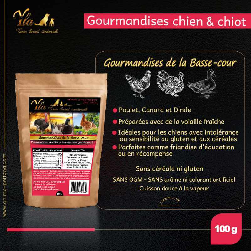 gateries-delicieuses-pour-chiens-et-chiots