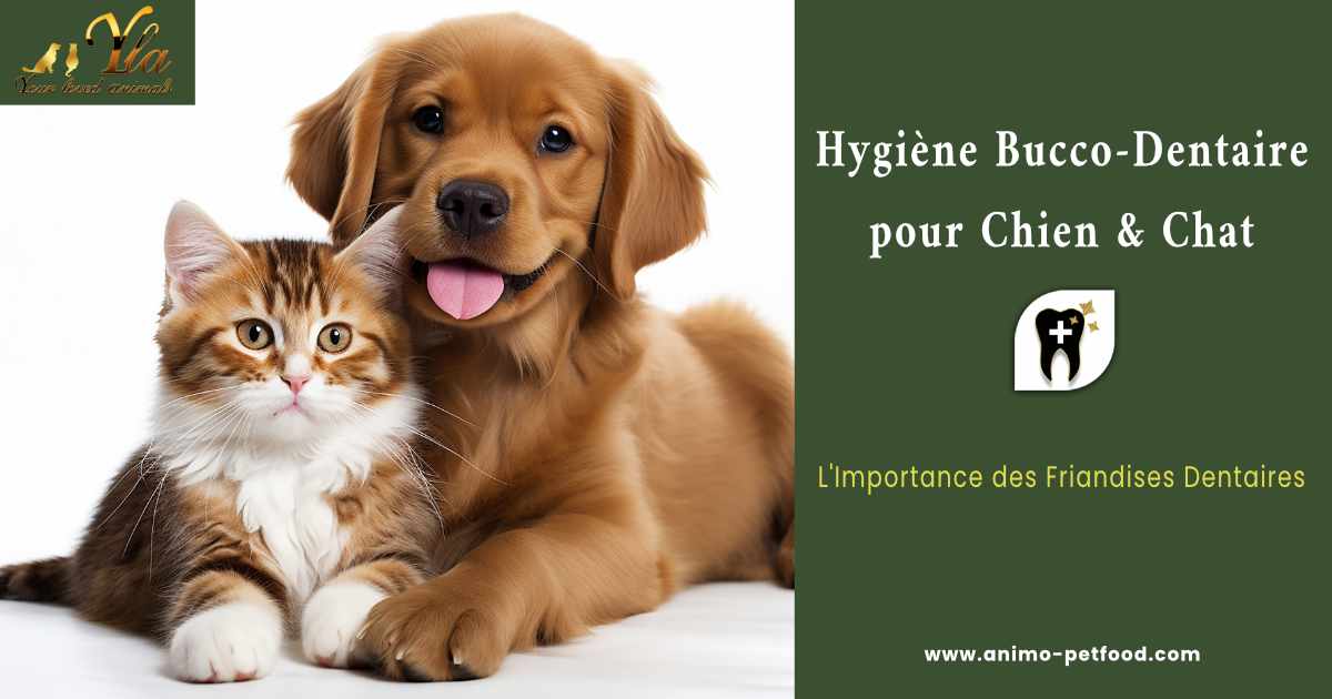 hygiene-bucco-dentaire-pour-chien-chat