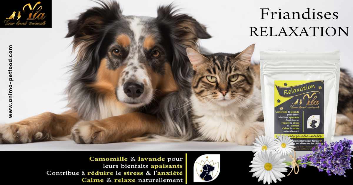 chien-chat-relaxation-friandises-fonctionnelles-pour-chien-et-chat