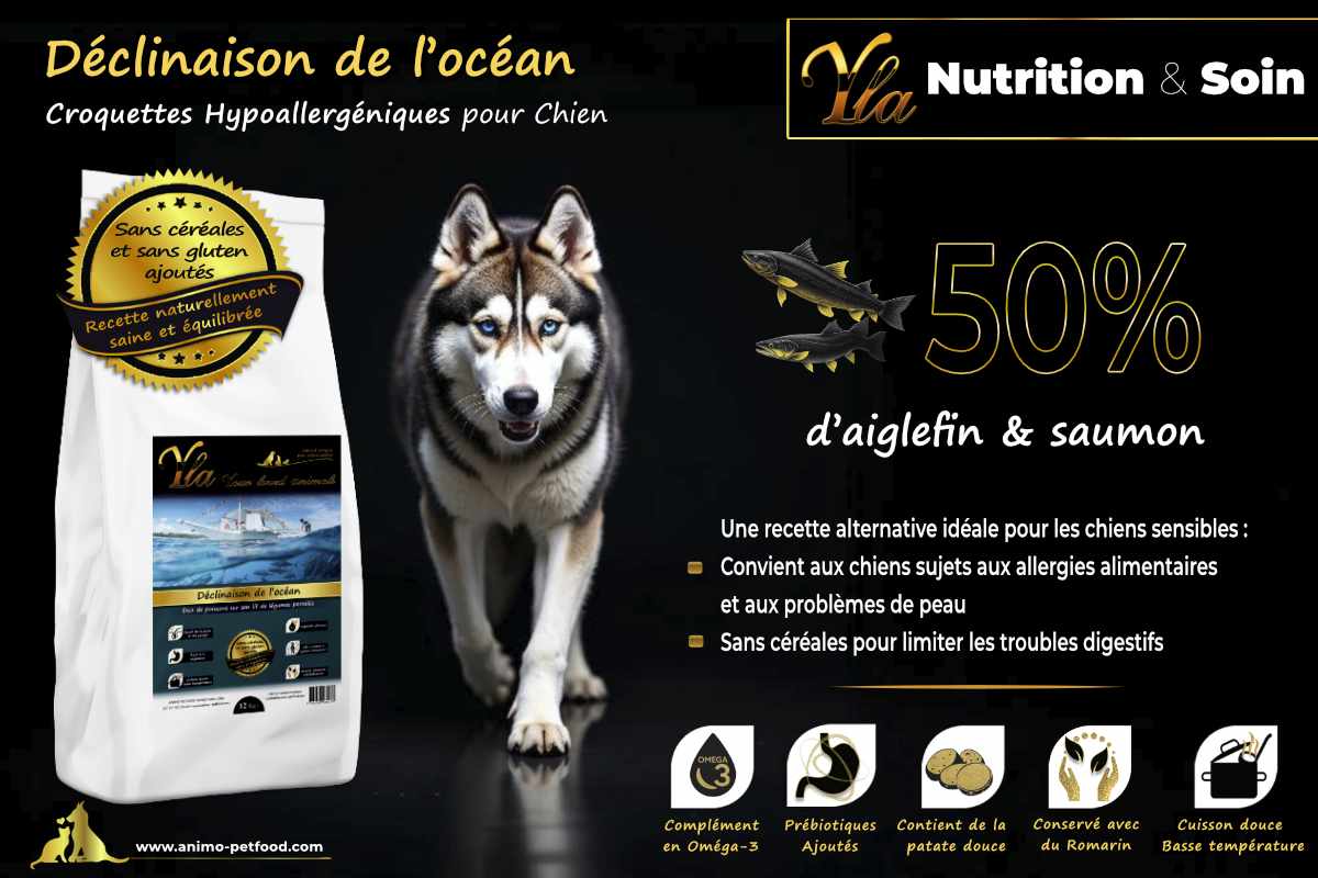 Alimentation hypoallergénique au saumon et aiglefin pour chiens sujets aux allergies et aux démangeaisons.