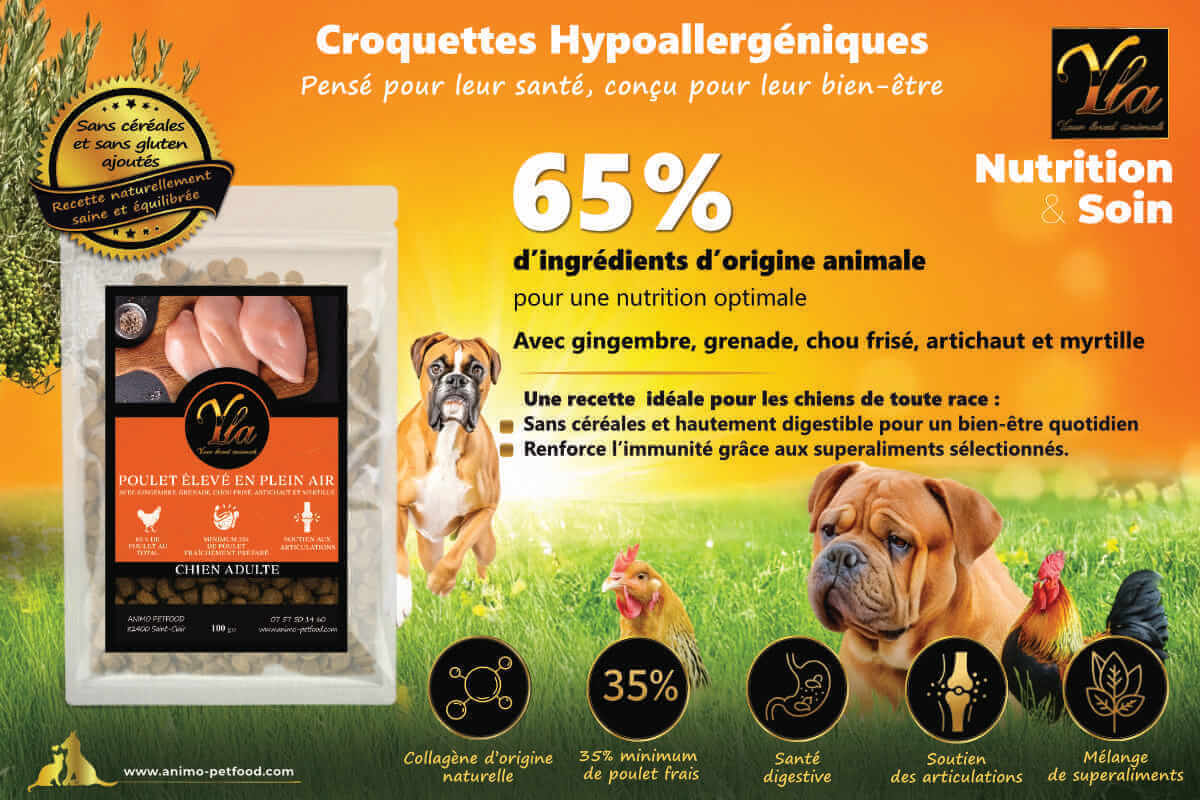 Croquettes pour chiens sensibles, nutrition fonctionnelle, collagène naturel et superfoods.