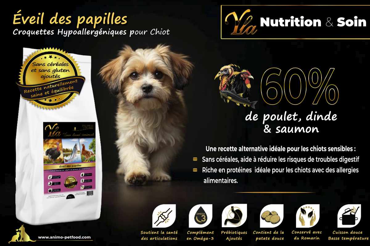 Croquettes pour chiots sans gluten, enrichies en protéines de poulet et saumon pour des chiots actifs et en pleine forme