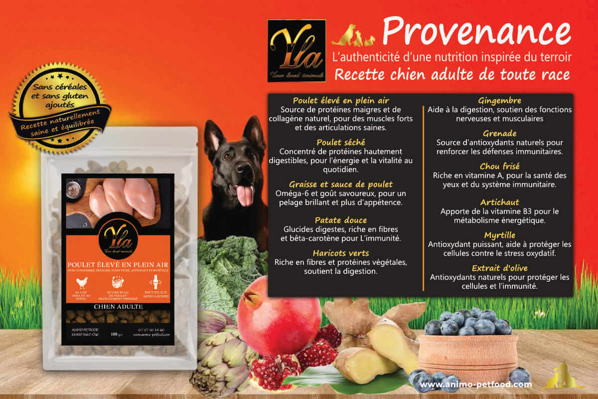 Croquettes naturelles pour chien adulte au poulet et légumes.