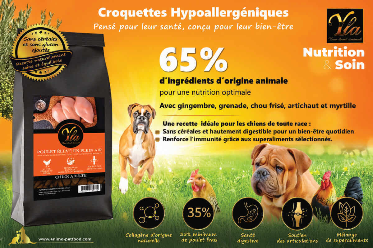 Croquettes pour chien sensible, superfoods et collagène naturel pour une nutrition fonctionnelle.