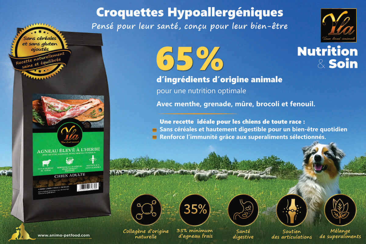 Recette naturelle à l’agneau pour chien adulte, sans céréales ni gluten