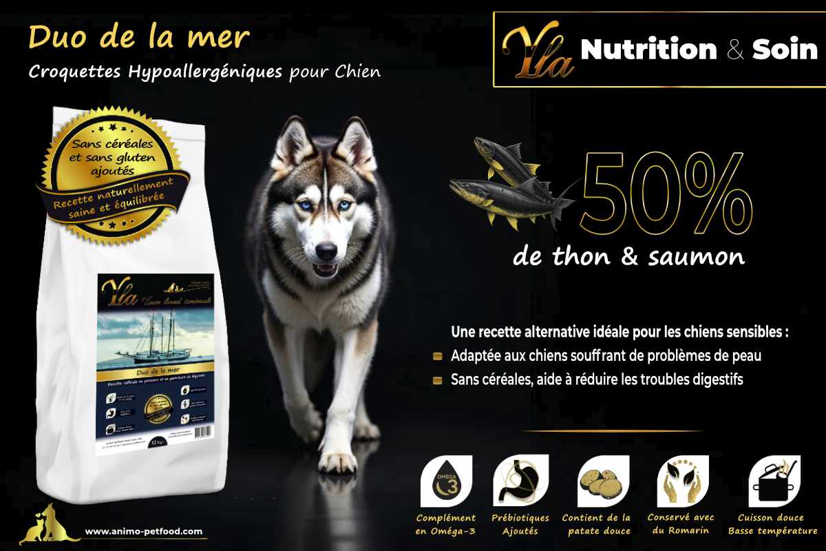 Croquettes premium au thon et saumon, sans céréales, pour chiens adultes avec intolérances alimentaires