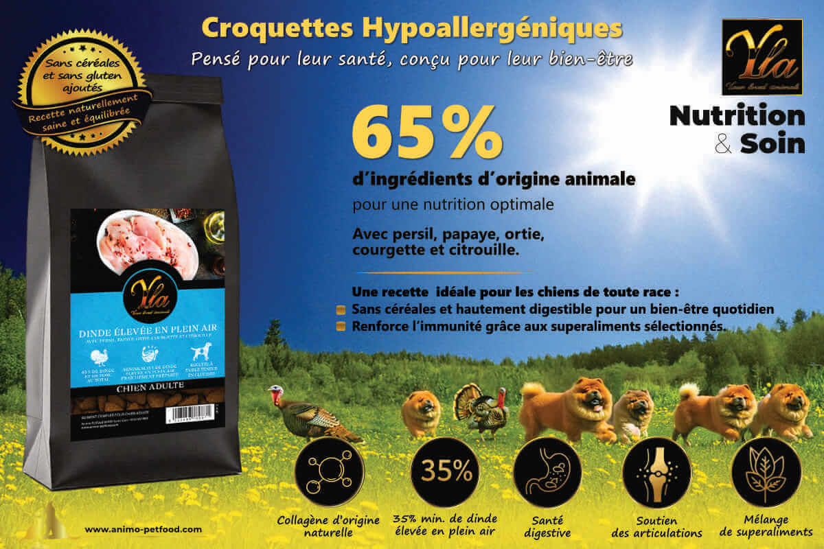 Croquettes sans gluten pour chien adulte – avec persil, courgette, papaye et citrouille