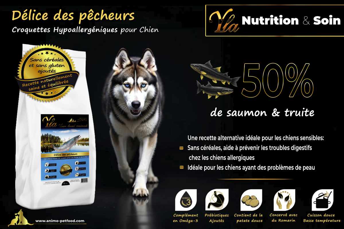 Croquettes saumon et truite sans céréales pour pelage terne et fragile, riches en oméga-3 pour une peau saine
