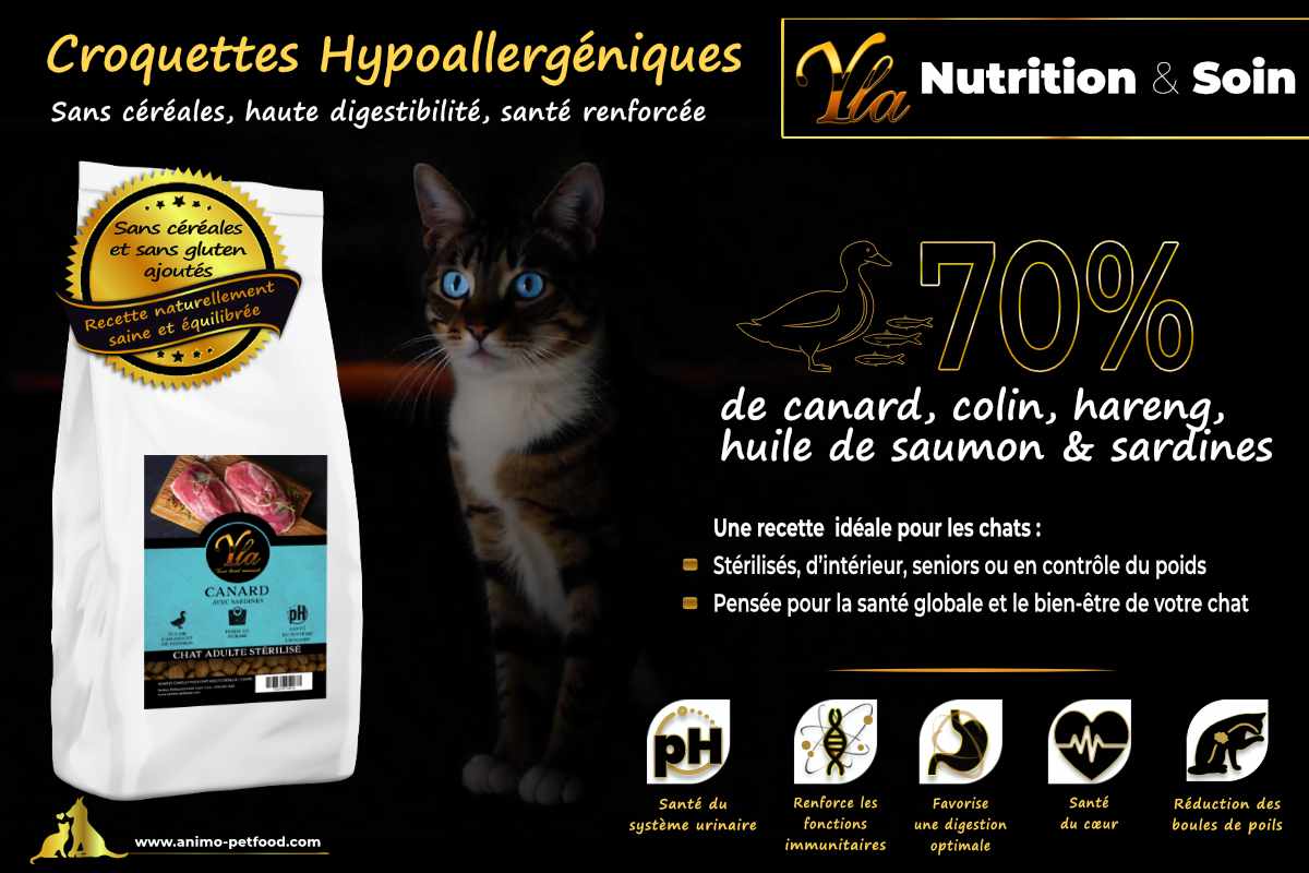 Croquettes pour chats stérilisés à digestion sensible, conçues pour améliorer leur confort digestif et leur bien-être