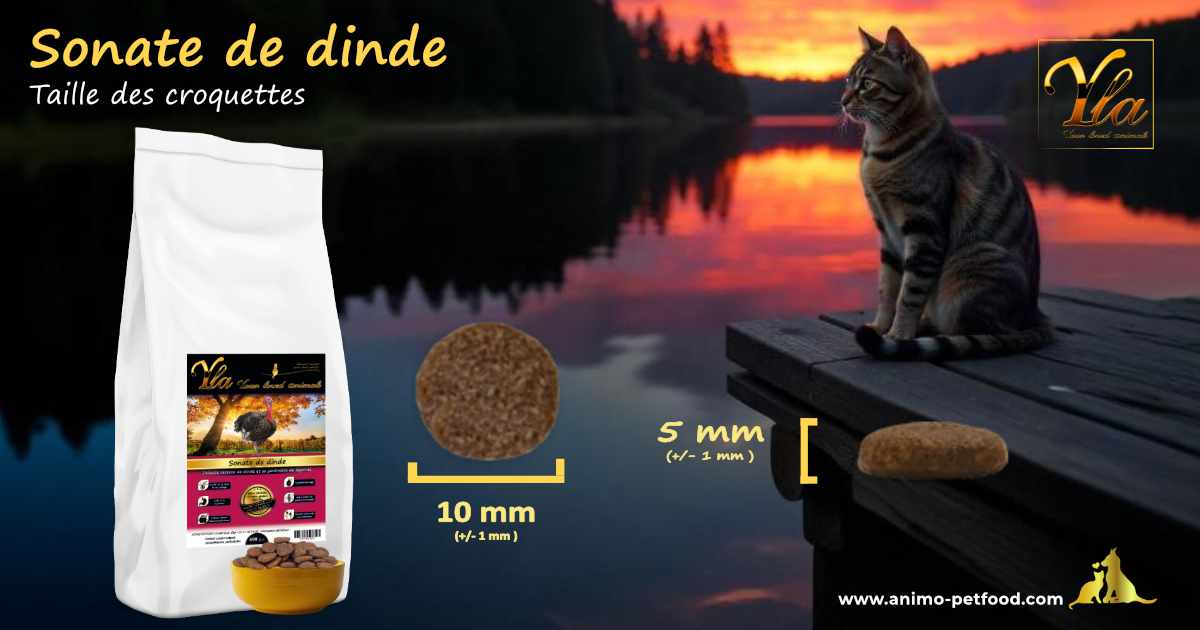 Croquettes rondes pour chat adulte, conçues pour une digestion facile, dimensions 10x5 mm.