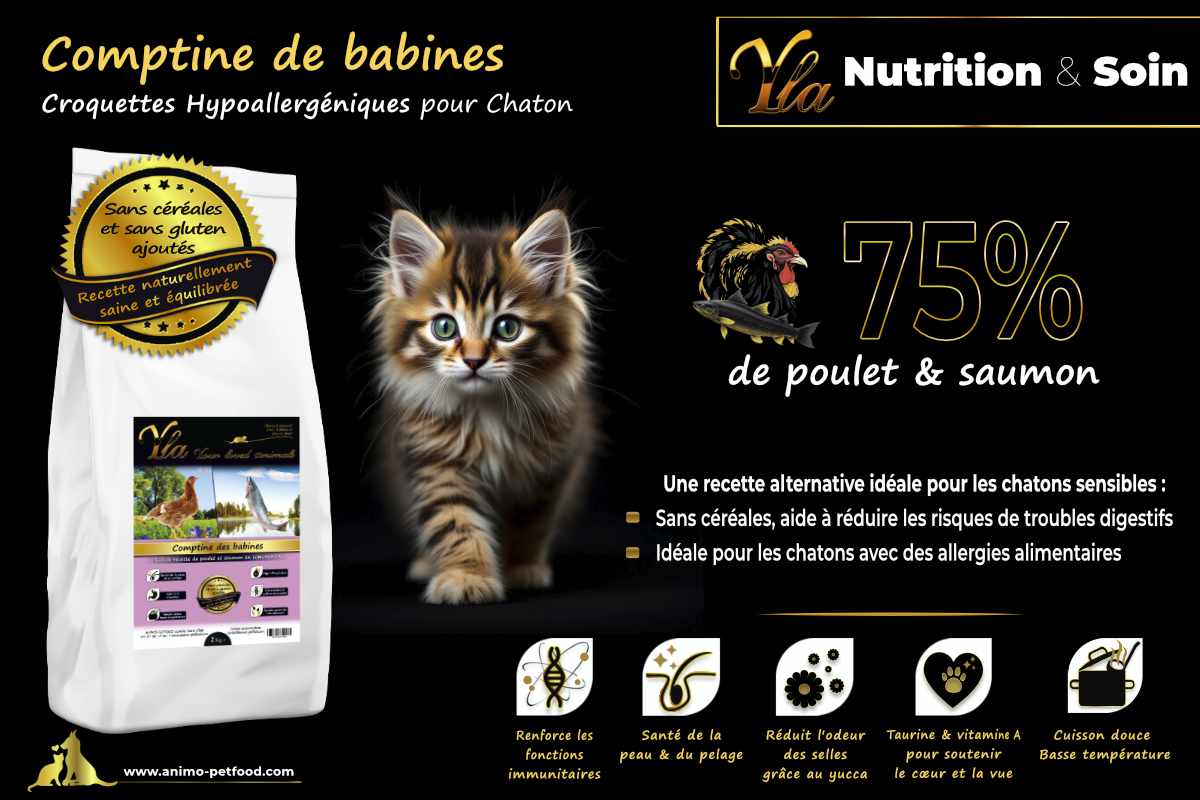 Croquettes hypoallergéniques pour chaton sans céréales au poulet et saumon