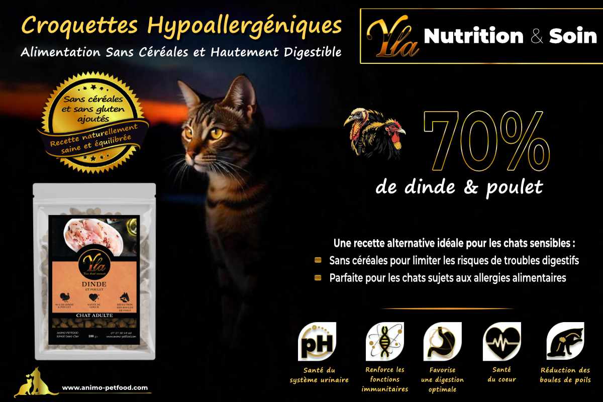 Croquettes Dinde & Poulet pour chat adulte – Haute digestibilité et nutrition optimisée.