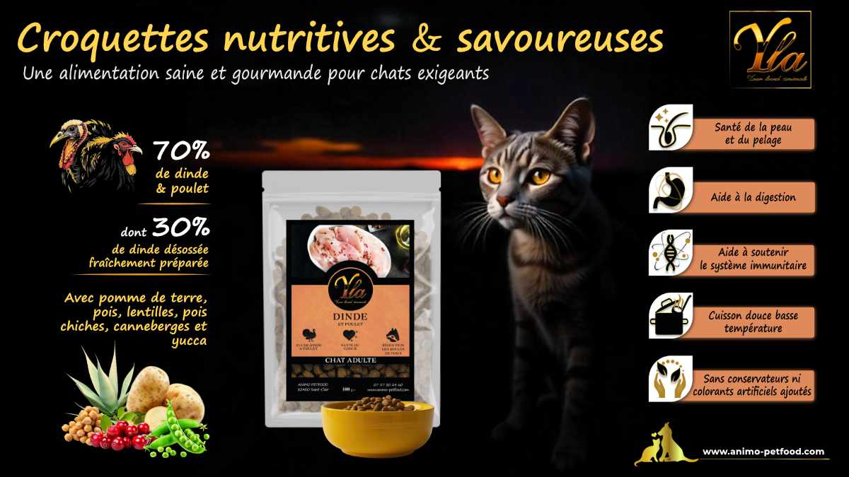 Croquettes hypoallergéniques naturelles pour chat adulte – Alimentation saine et digestion optimale.