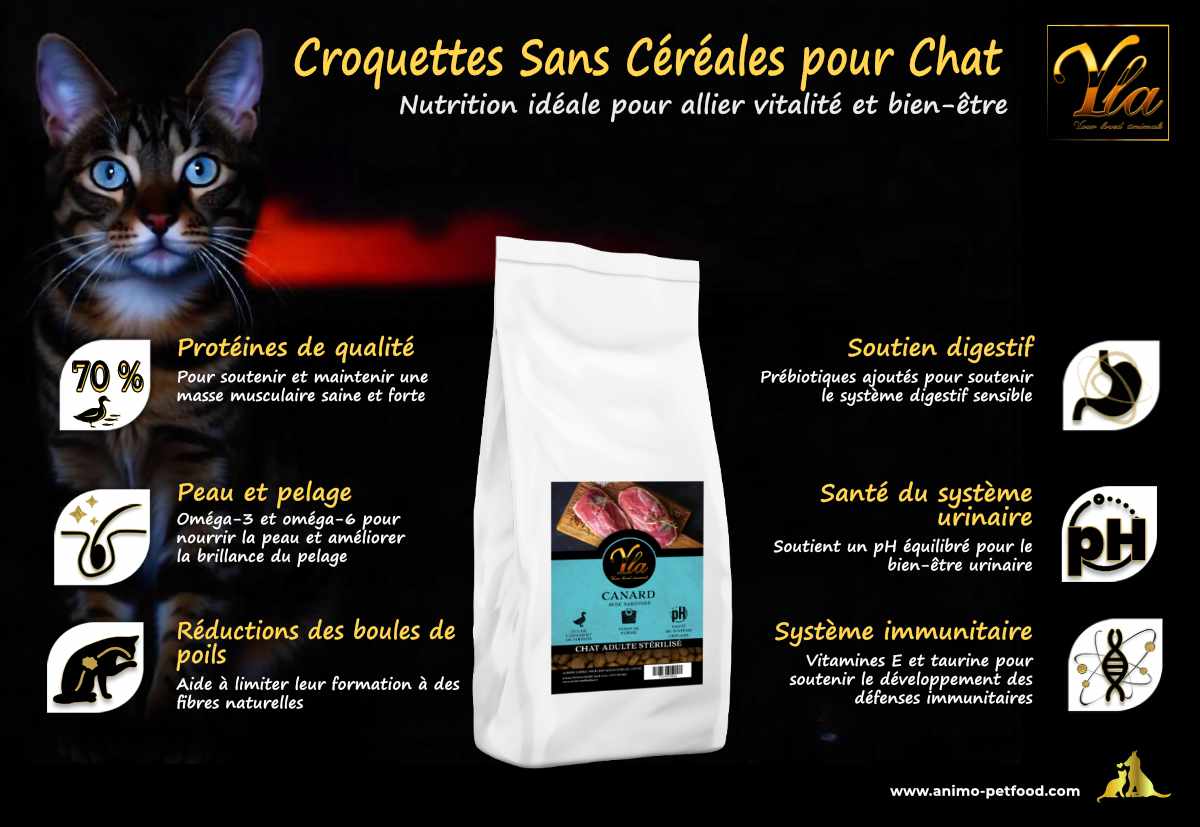 Croquettes pour chats d’intérieur, formulées pour réduire les odeurs désagréables des litières.
