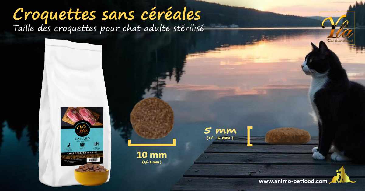 Croquettes spécialement conçues pour chats stérilisés et vivant en intérieur, idéales pour leur santé et leur bien-être.