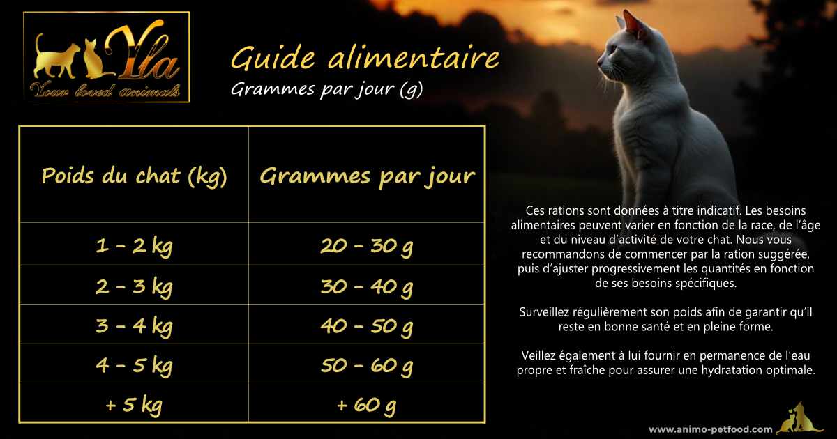 Plan alimentaire équilibré pour chats stérilisés, conçu pour leur santé et leur bien-être quotidien.