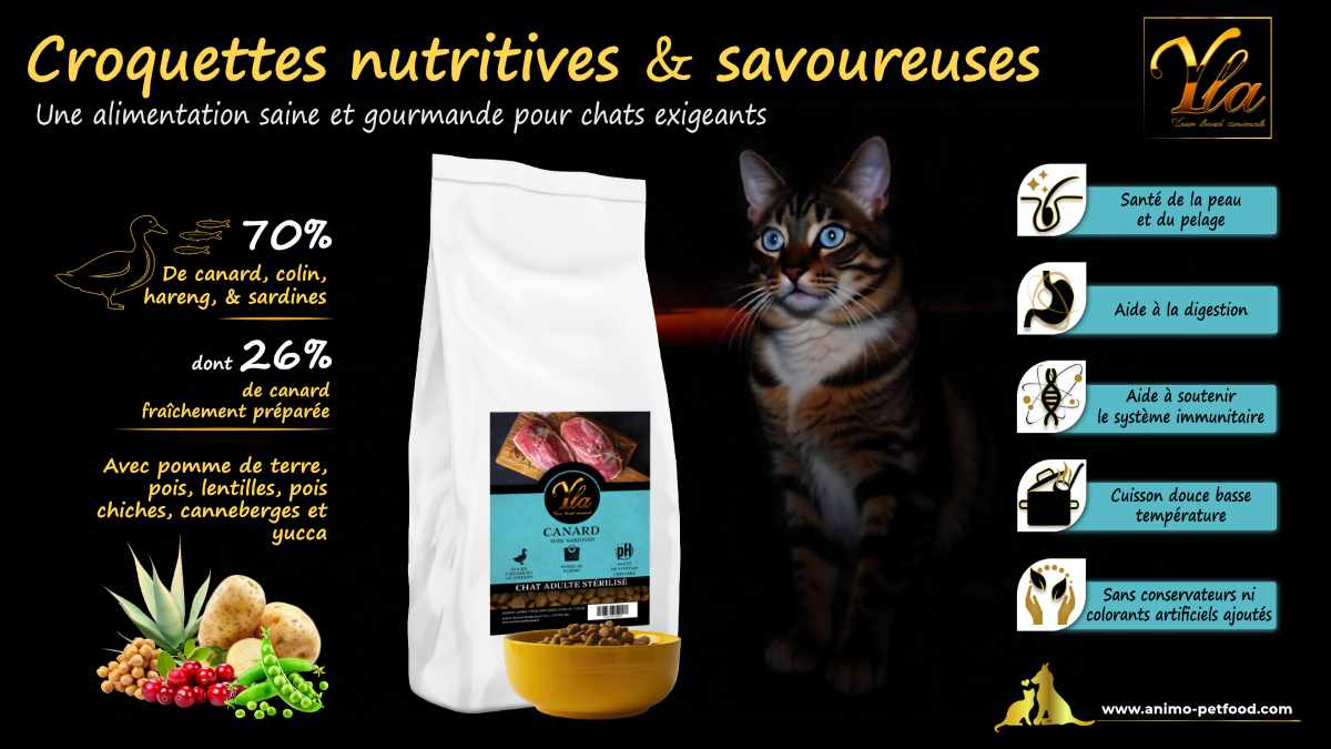 Recette gourmande et équilibrée pour chats stérilisés ayant des préférences pointues, adaptée à leurs besoins nutritionnels.