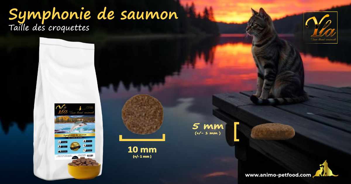 Croquettes rondes au saumon pour chat adulte – Haute digestibilité et texture optimisée pour une meilleure assimilation des nutriments.