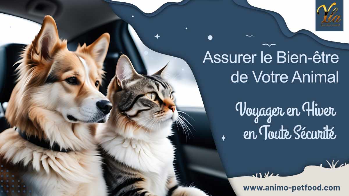 assurer-le-bien-etre-de-votre-animal-voyager-en-hiver-en-toute-securite