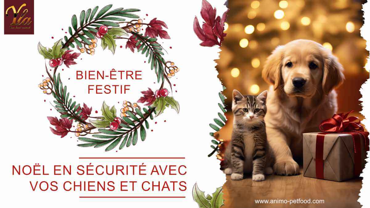 bien-etre-festif-noel-en-securite-avec-vos-chiens-et-chats