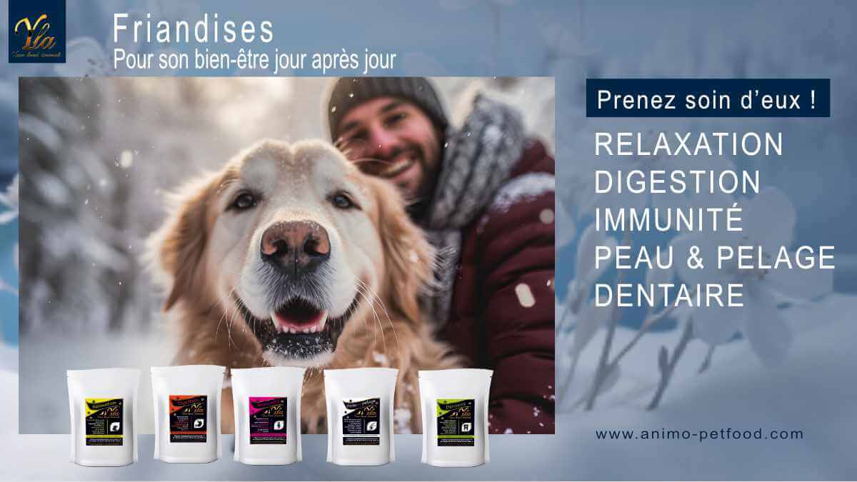 chien-friandises-sans-cereale-ni-gluten-pour-pour-le-bien-etre-hivernal