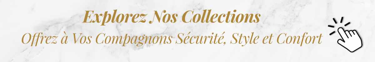 collections-medailles-personnalisables-pour-chiens-et-chats