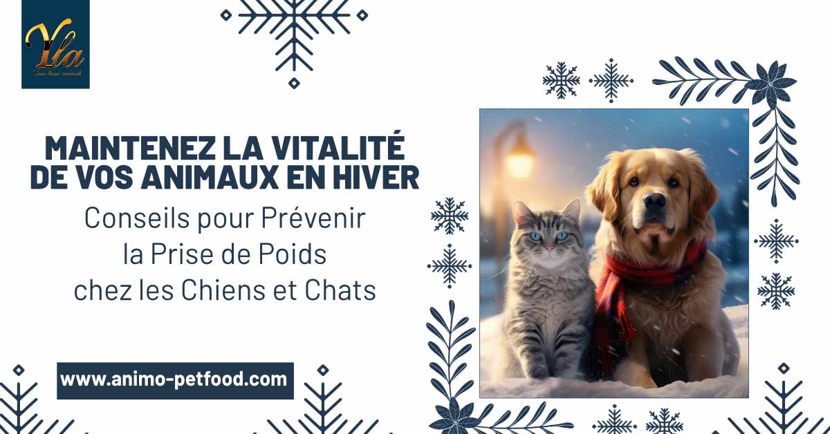 Conseils de Bien-Être Hivernal : Prévention de la Prise de Poids chez les Chiens et Chats