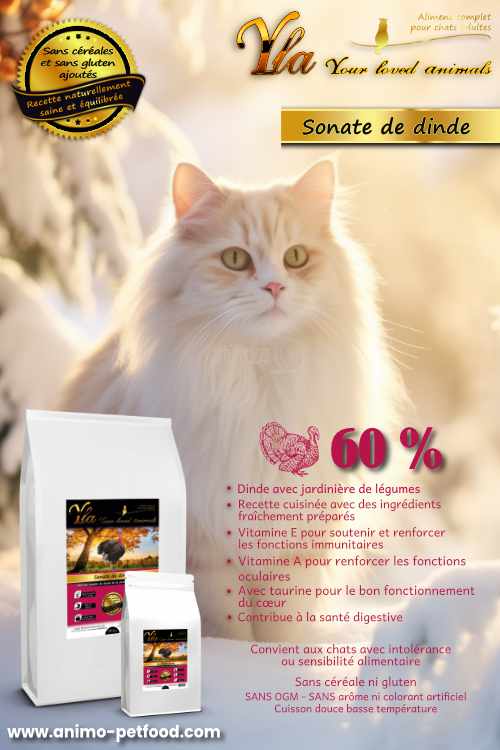 croquettes-pour-chat-avec-estomac-sensible