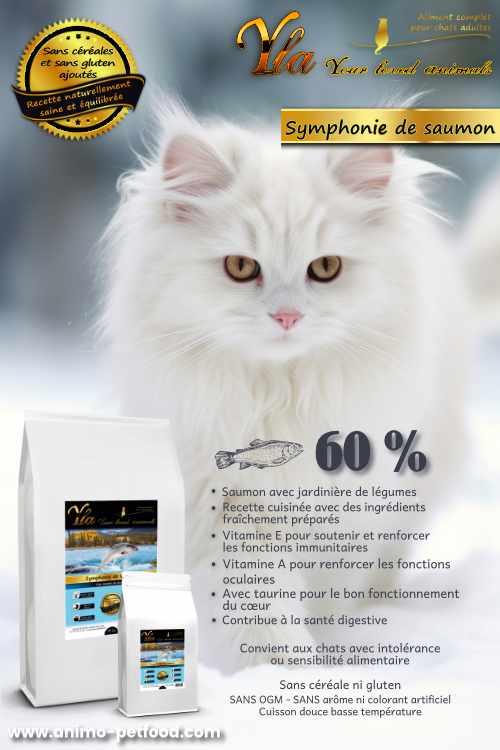 croquette pour chat riche en omega-3