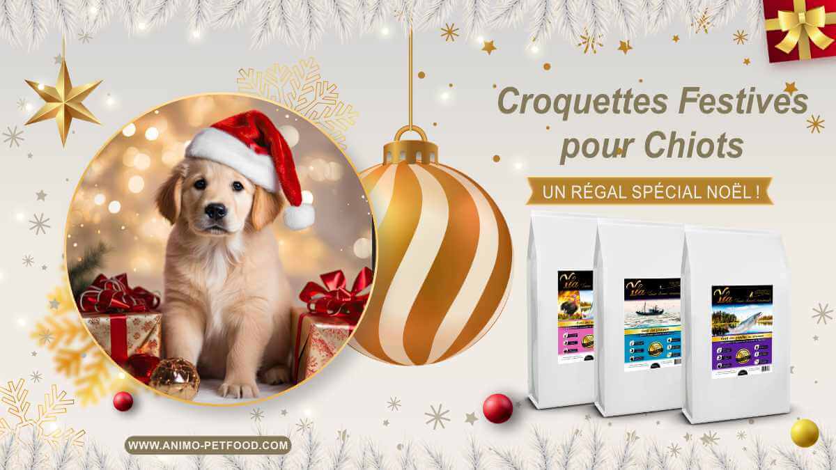 croquettes-pour-chiot-spécial-noel