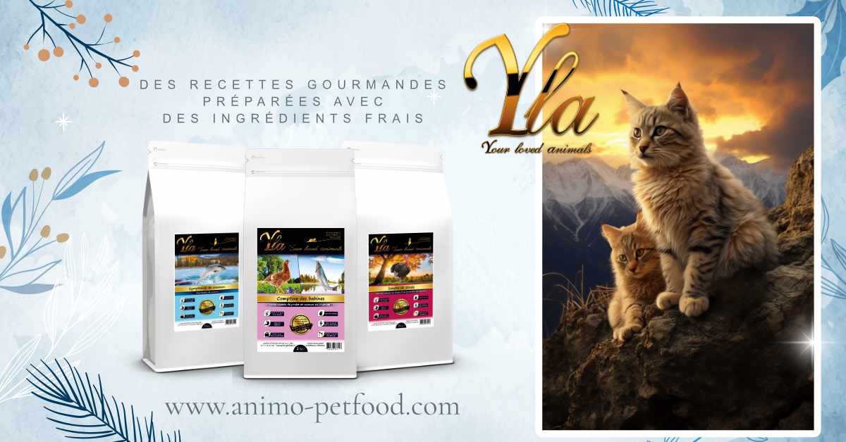 croquettes-pour-chats-sans-colorants-ni-conservateurs-artificiels-ajoutes