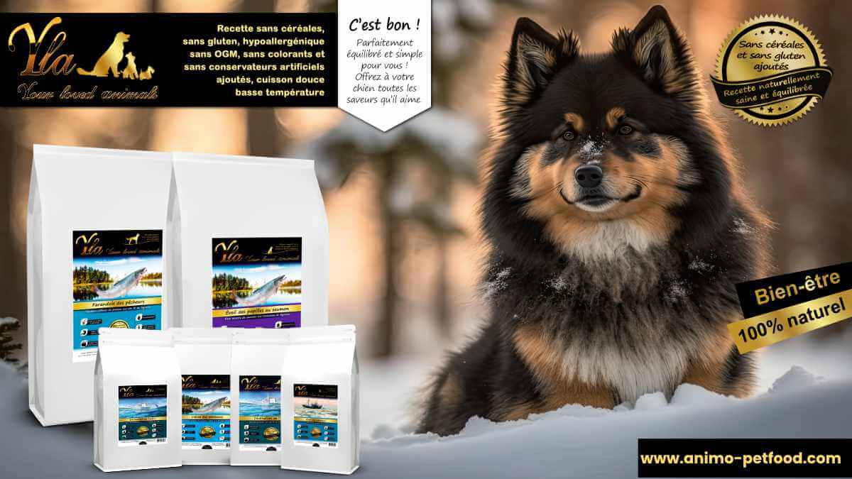 croquettes-sans-cereale-ni-gluten-pour-la-sante-du-chien-et-chiot