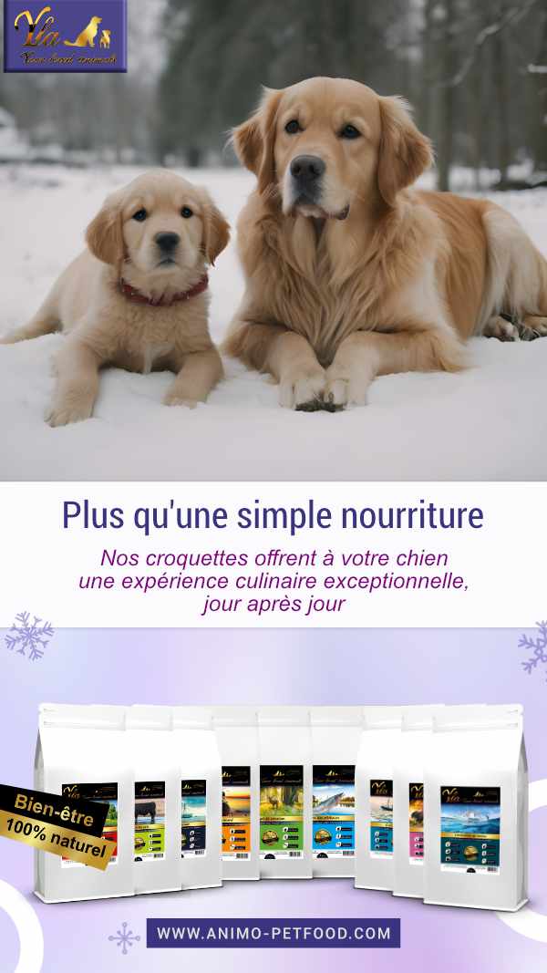 Croquettes pour chien - Offrez une expérience culinaire exceptionnelle à votre fidèle compagnon