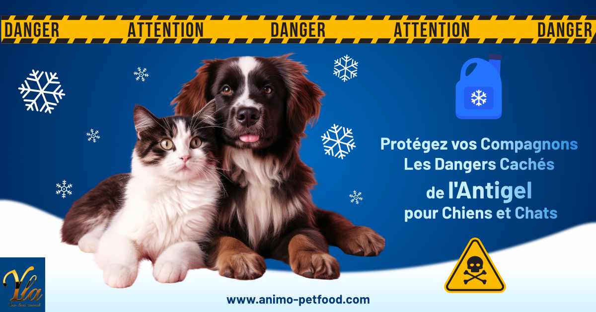 Protégez vos Compagnons - Dangers Cachés de l'Antigel pour Chiens et Chats