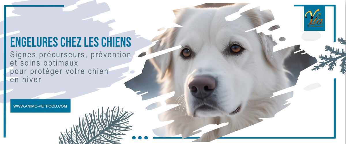 engelures-chez-les-chiens-signes-precurseurs-prevention-et-soins-optimaux