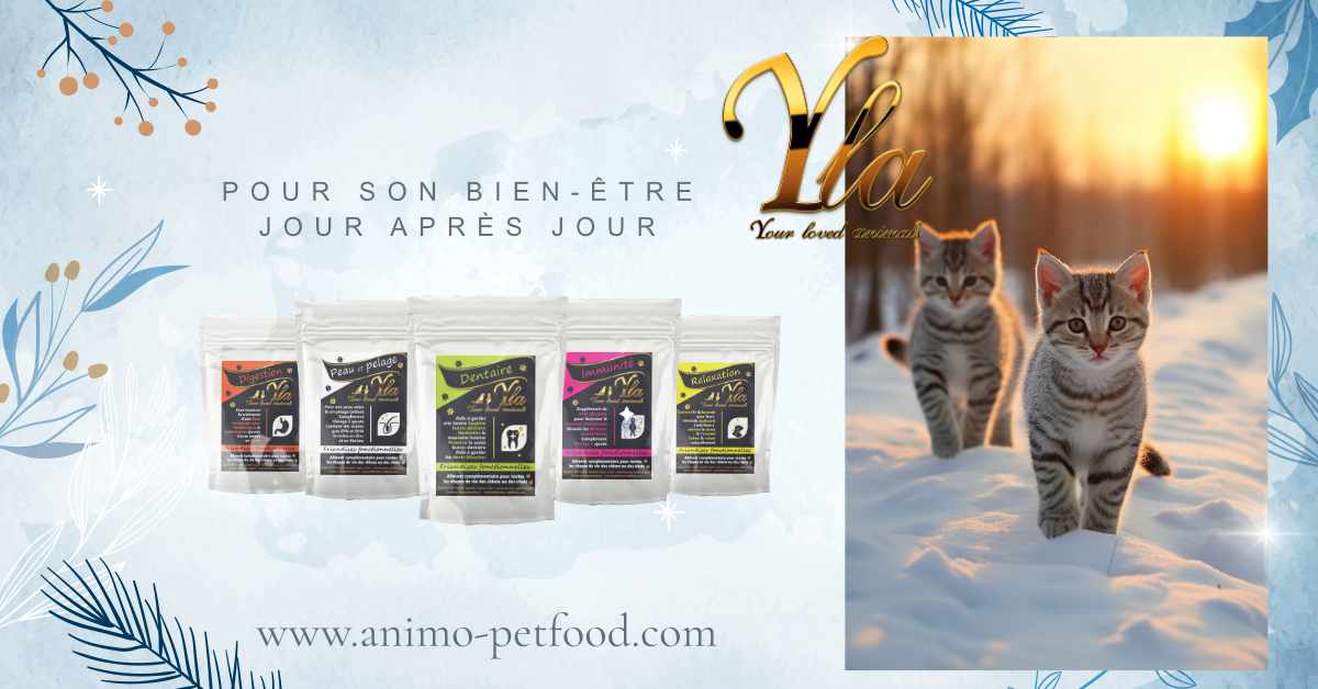 friandises-chat-relaxation-digestion-immunite-peau-pelage-dentaire