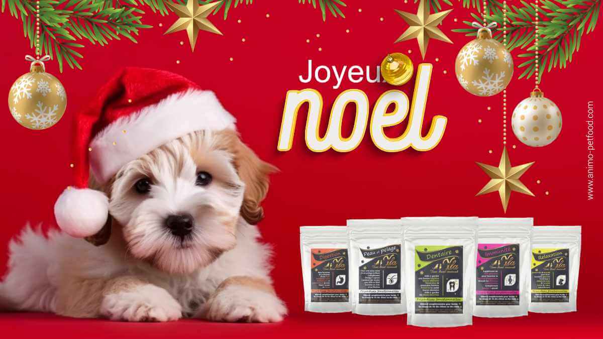 friandises-de-noel-pour-chiot